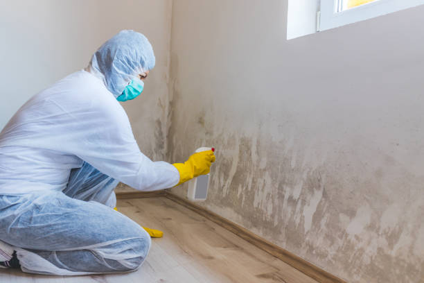Licensed Crawl Space Mold Removal service in Garrett Park, MD - WQB Mold Removal
