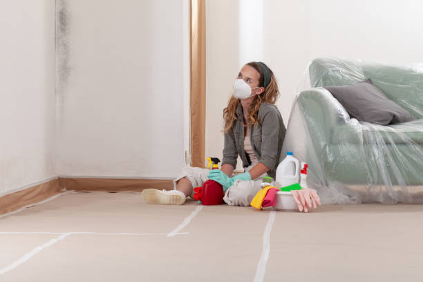 Reliable Crawl Space Mold Removal contractor in Garrett Park, MD by WQB Mold Removal