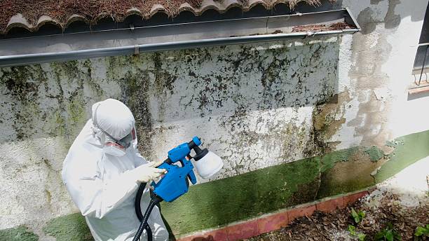 Top rated local Crawl Space Mold Removal specialists in Garrett Park, MD